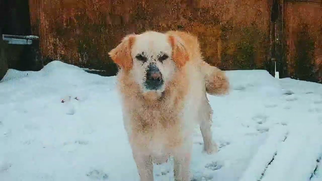 take a break in the snow, i won’t leave you