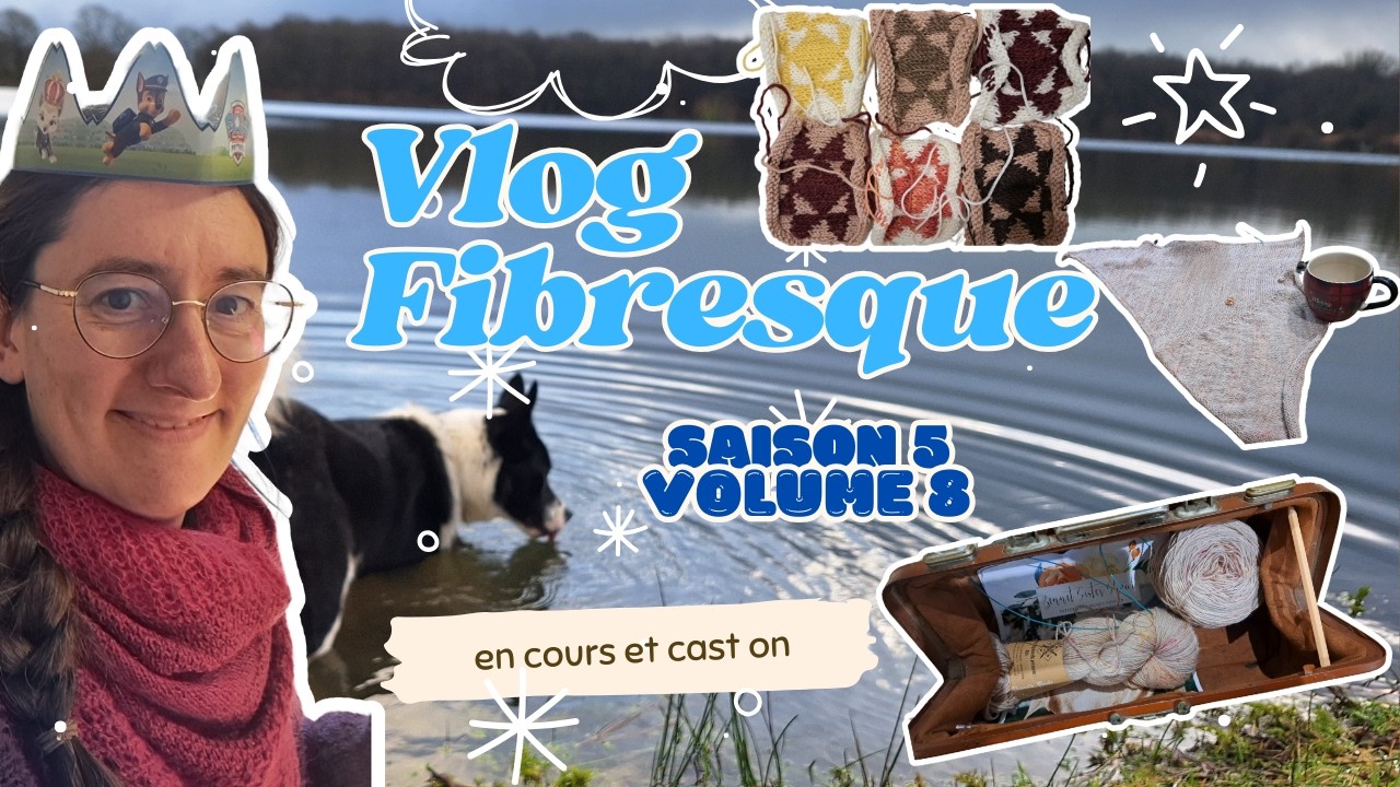 Vlog fibresque saison 5 volume 08 la fin du no buy