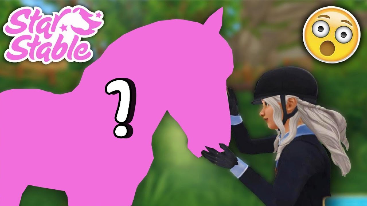 ich MUSS das 1. Pferd KAUFEN 😭 mit blauer Schabracke! 😲🤷‍♀️ RANDOM 😂 SSO Challenge 🐴