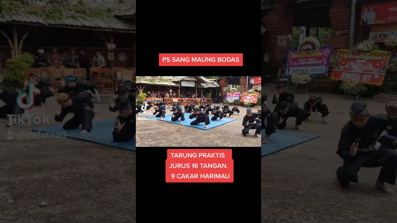 PS SANG MAUNG BODAS. TARUNG PRAKTIS JURUS 16 TANGAN DAN 9 CAKAR HARIMAU