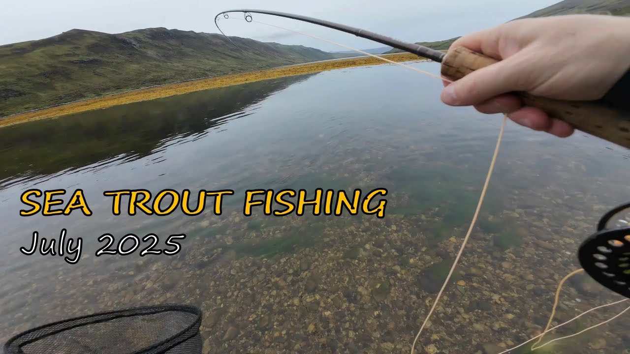 A Lancashire fly for West Coast sea trout | July 2025