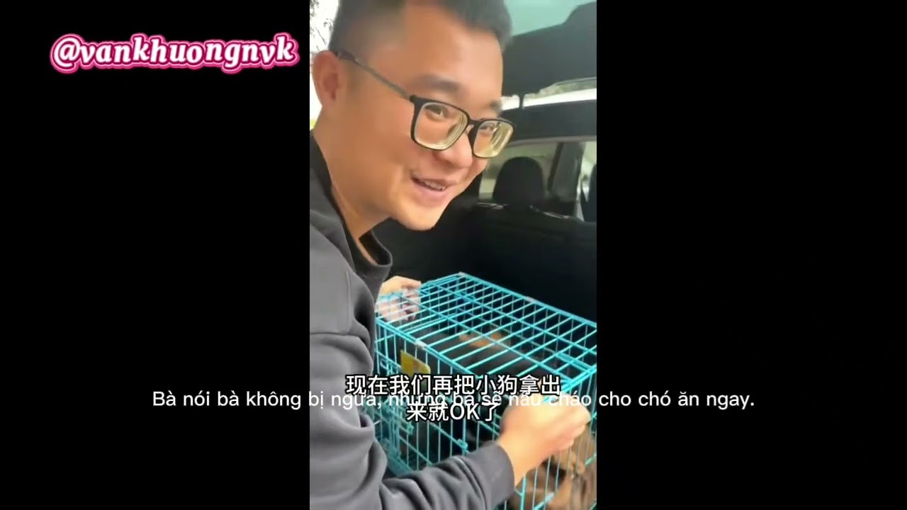 Thú cưng của Tiêu Thần ở Youxiang