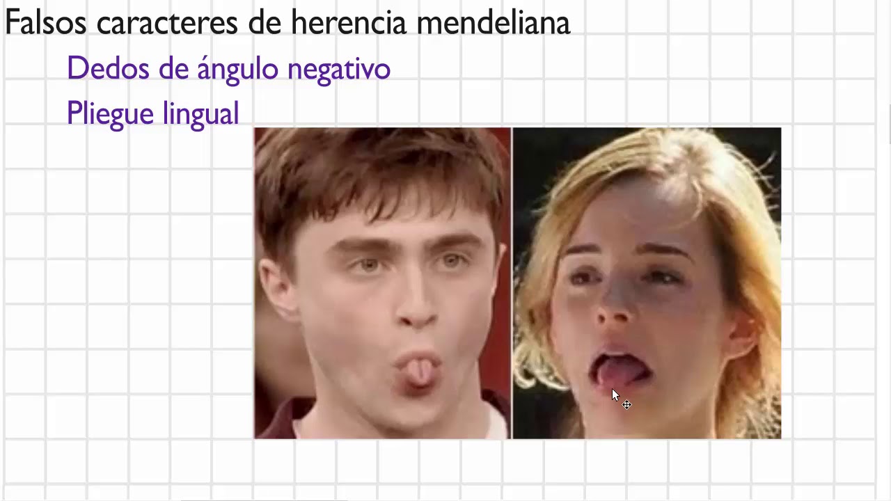 Falsos caracteres de herencia mendeliana, resumen