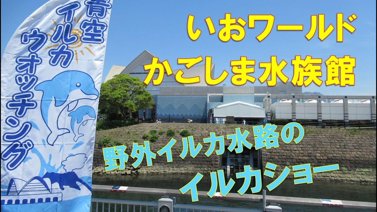 いおワールドかごしま水族館(イルカ水路）