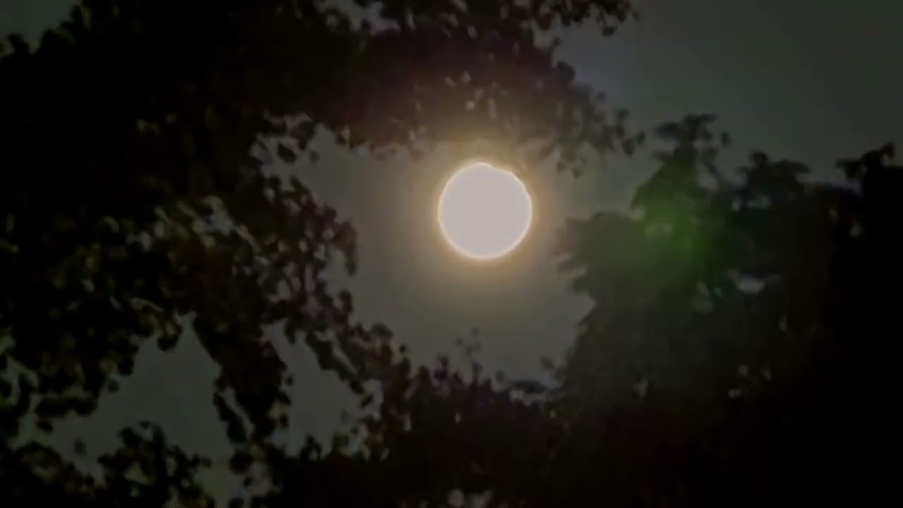Volle Maan. 07-09-2025.