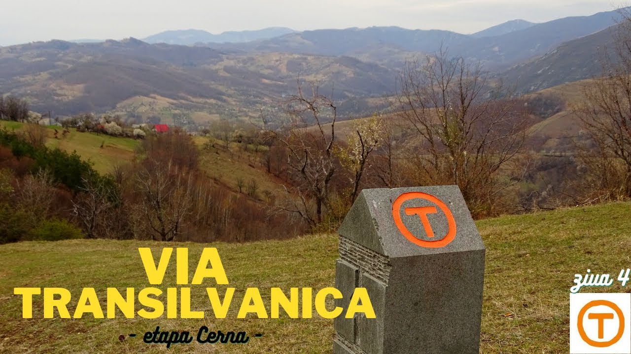 Cu cortul la stână pe Via Transilvanica (ziua 4, etapa Cerna)