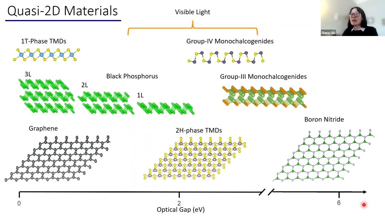 Many body Effects on Optical Excitations in Low Dimensional Materials | Diana Qiu (Yale)