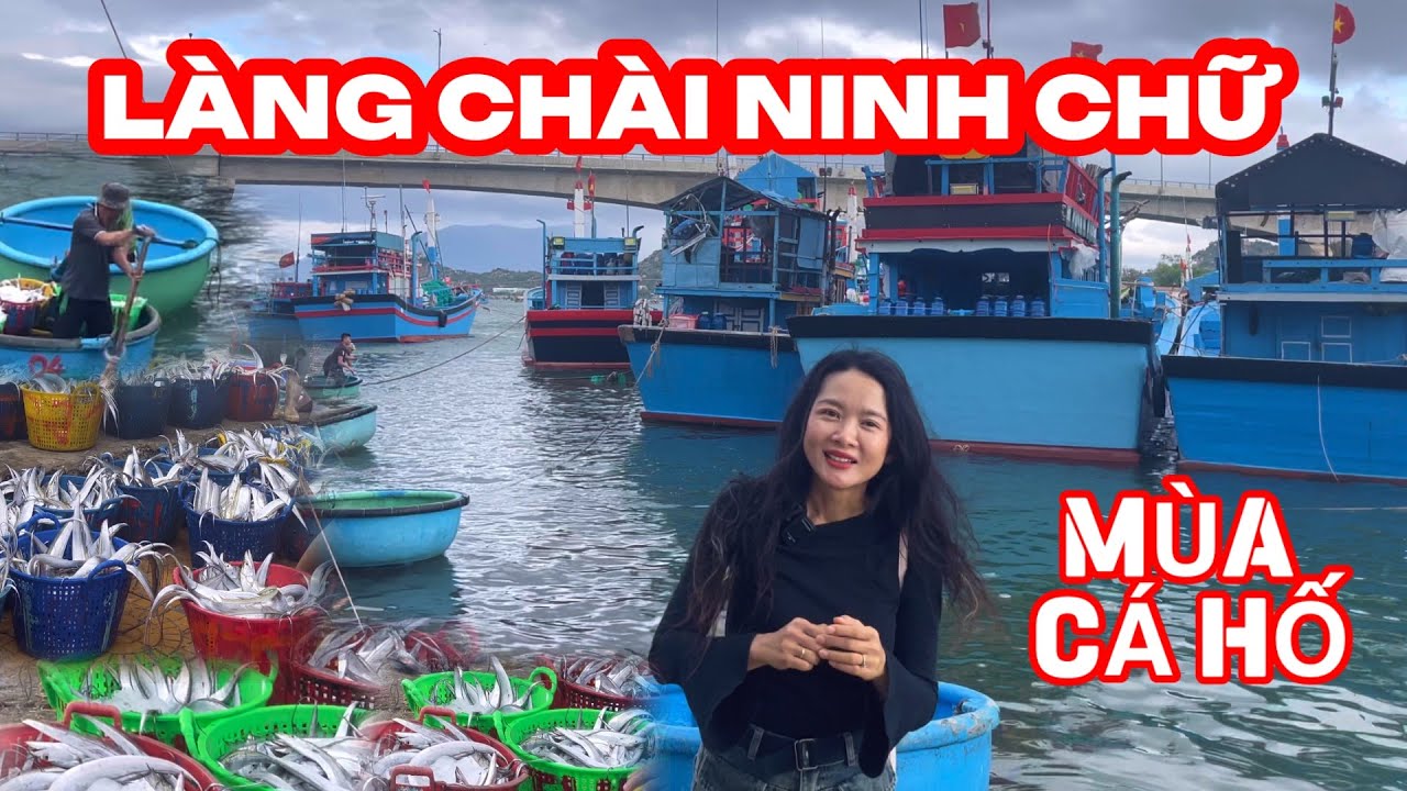 LÀNG CHÀI NINH CHỮ MÙA CÁ HỐ, THAM QUAN NGÔI CHÙA ĐẸP VÀ LỚN NHẤT NINH THUẬN #dalatv #ninhthuan