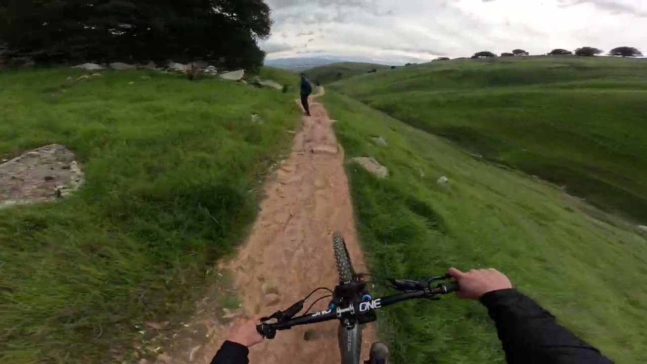 Cow pie 💩 alley pt 2