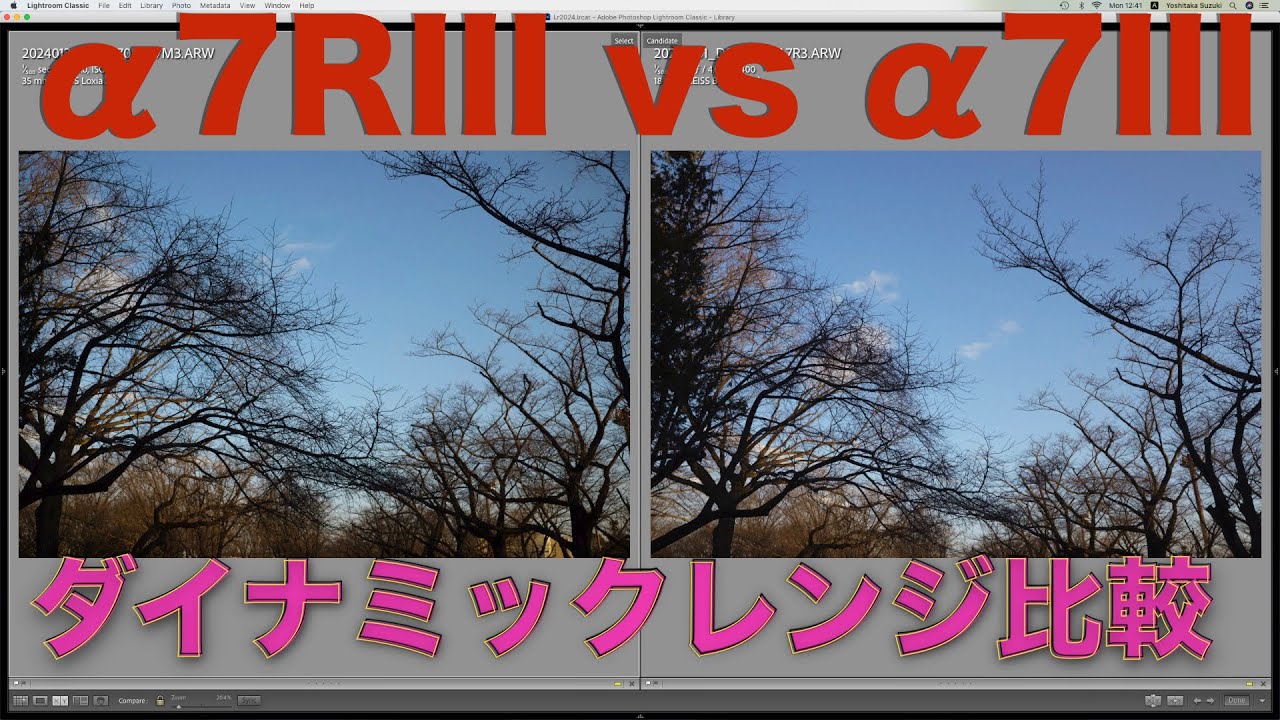 ソニー α7RIII vs α7III・ダイナミックレンジの比較・7RIIIのDRが広いという評判は本当か？・RAW現像での復元率を見ての比較。