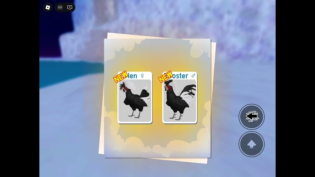 New Polish Chicken Update! | Feather Family Roblox