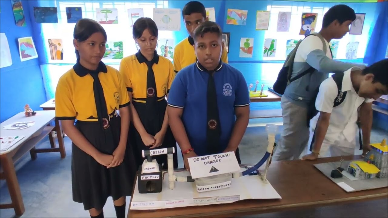 Carbon Purification System (School Science Project) 