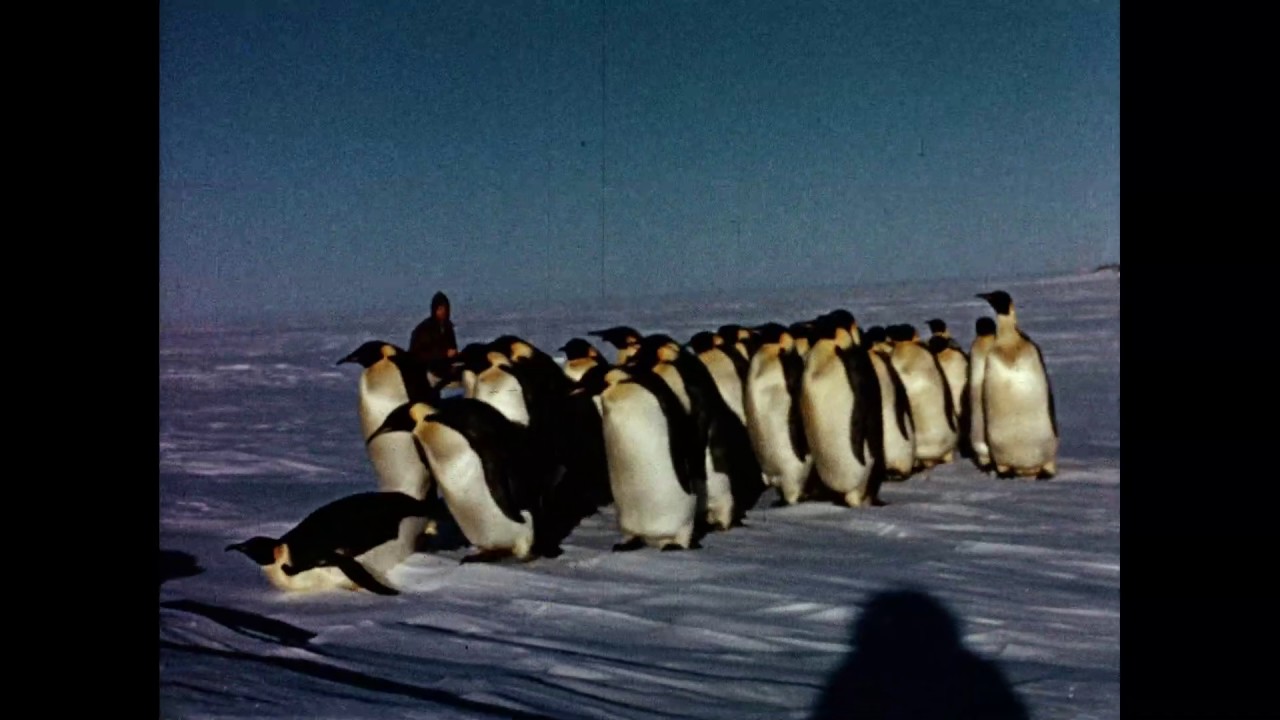Halley Bay expedition film