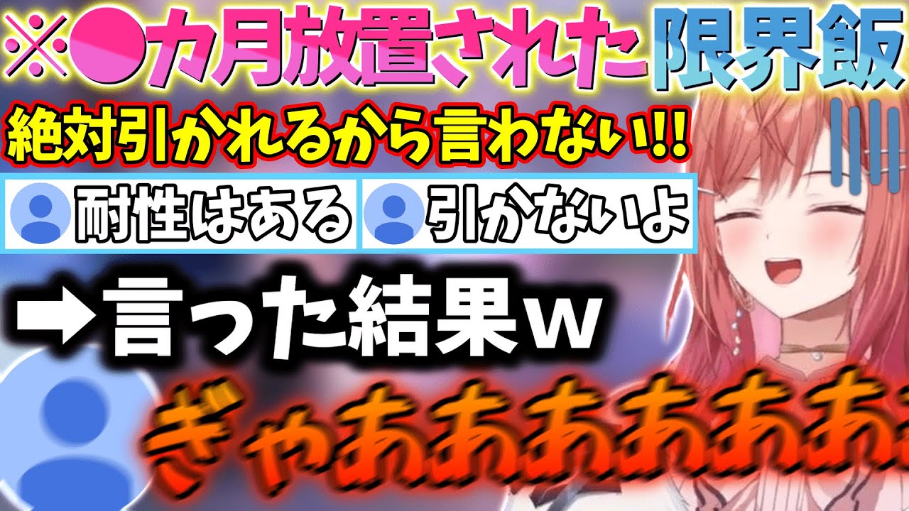 数カ月使用していない冷蔵庫から出てきたダークマターの存在を暴露しリスナーを大絶叫させてしまう莉々華ｗｗｗ【一条莉々華/切り抜き】