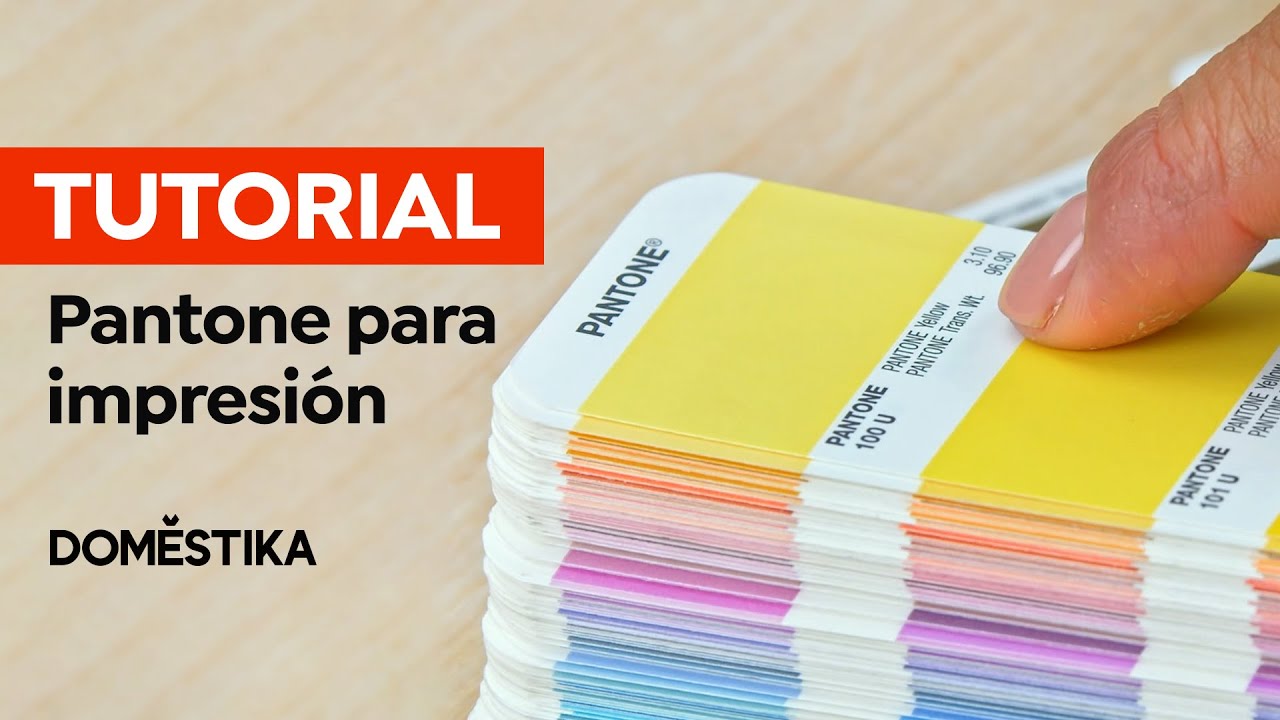 TUTORIAL DISE&Ntilde;O: C&oacute;mo usar una GU&Iacute;A PANTONE para impresi&oacute;n | Bet&uacute;n de Mantequilla | Domestika