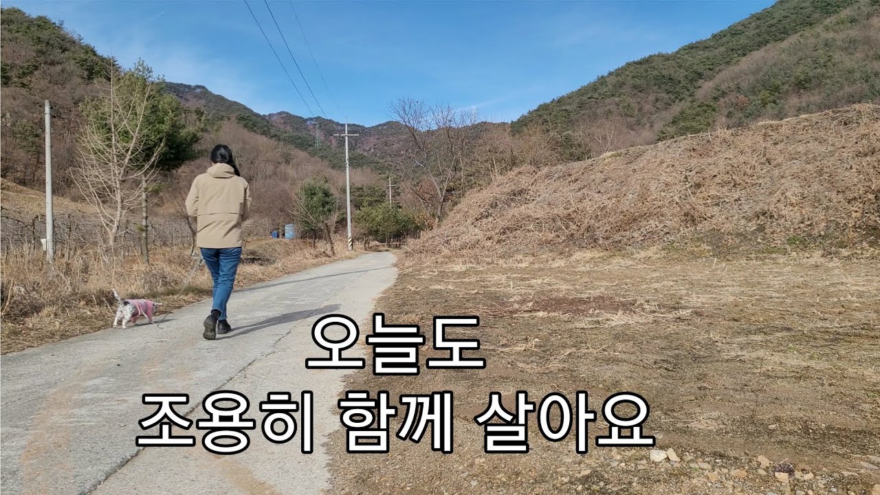 조용해서 더 고마운 하루