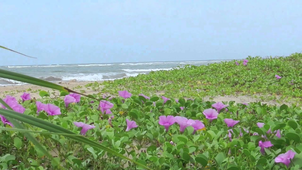 Explore Sri Lanka - Trincomalee