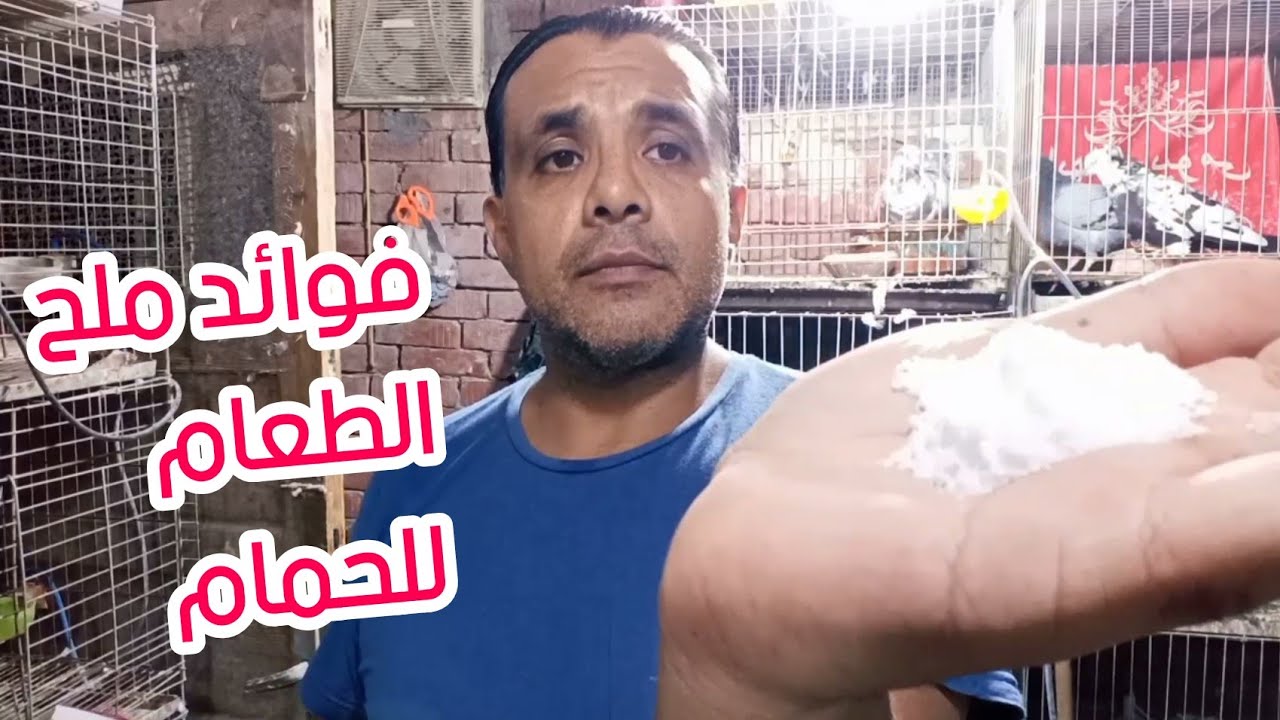 فوائد ملح الطعام للحمام