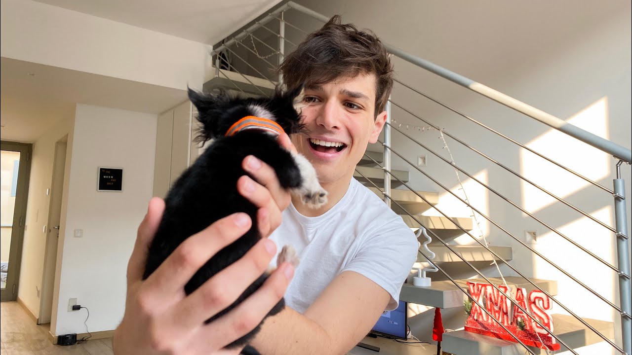ROSALBA mi SORPRENDE con un NUOVO CUCCIOLO di CANE!!!