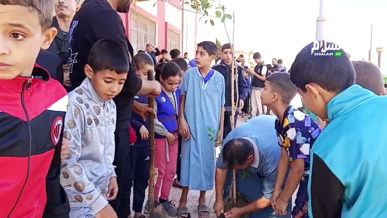 عين الدفلى: بئر ولد خليفة تحيي عيد الثورة المجيدة بحملة تشجير وطنية