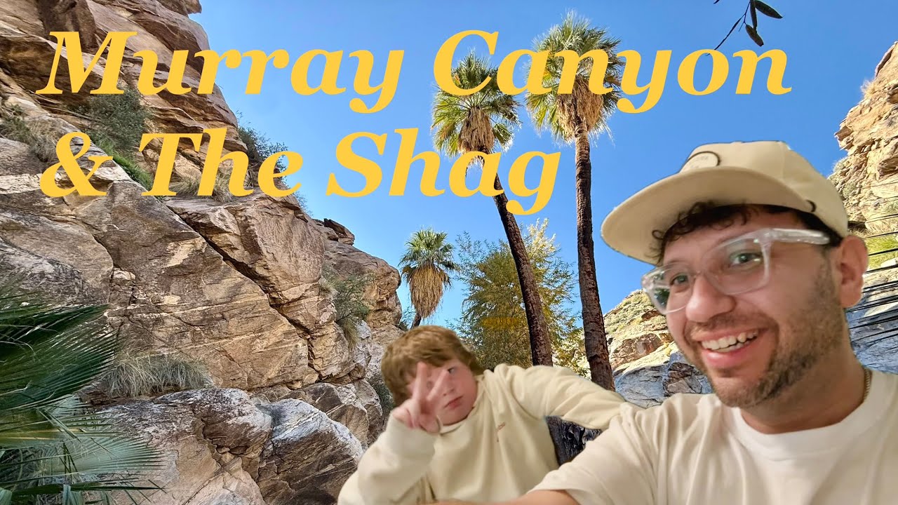 Hiking Murray Canyon and Visiting The Shag Store (Indian Canyons - Day 19)