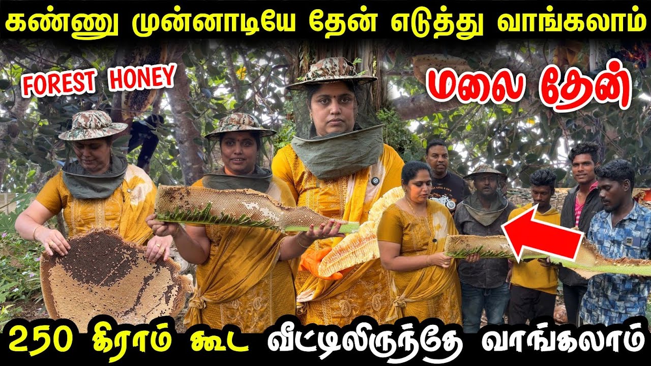 100 கிராம் கூட ஓரிஜினல் காட்டு தேன் வாங்கலாம் | Pure Forest honey | Pure honey