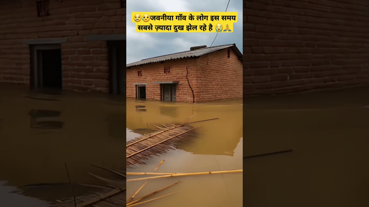 Bihar Flood 2025 | Jawaniya Gaon Dooba 