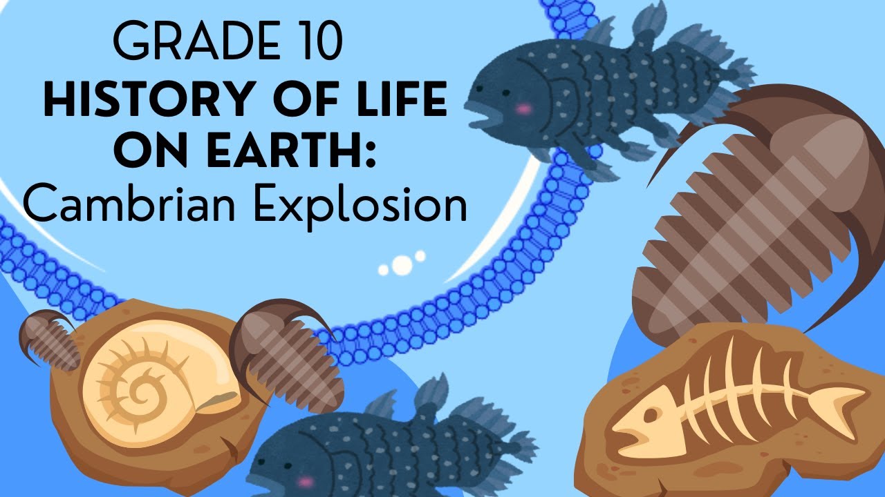 INTRO to The Cambrian explosion | EASY to understand