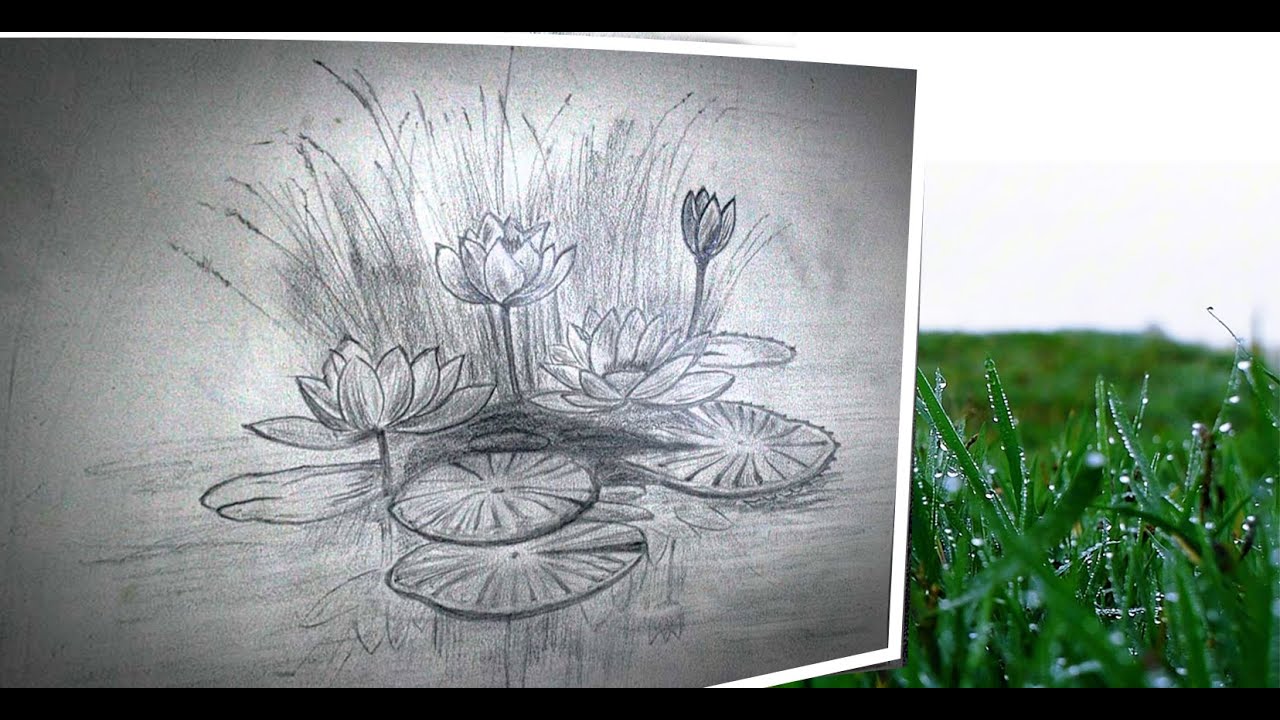 Painting in Nature | Relaxing Music & Nature Sounds for Focus & Calm |