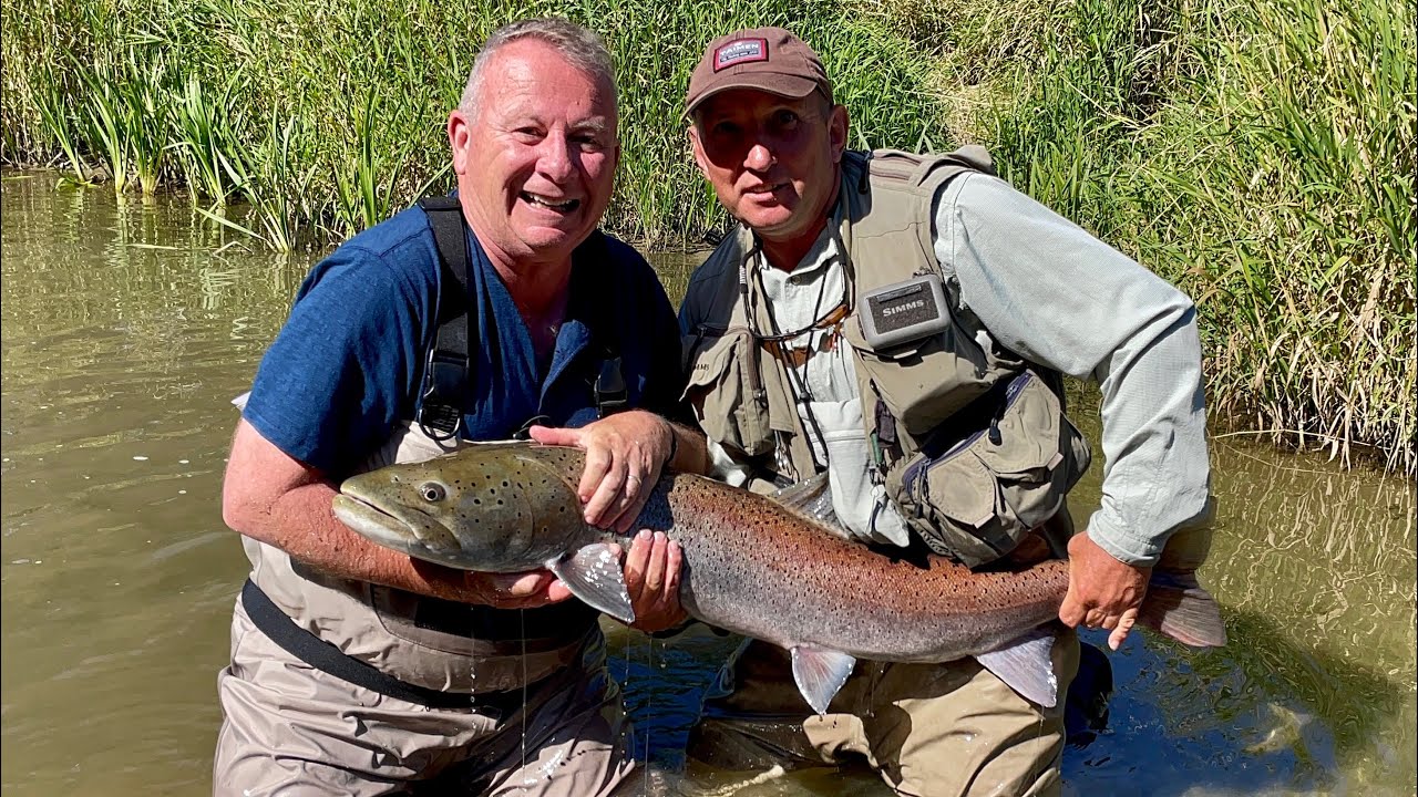 Holowanie ponad metrowej Głowacicy, rzeka San Polska 2021 ( fly fishing, Danube Salmon, Hucho hucho)