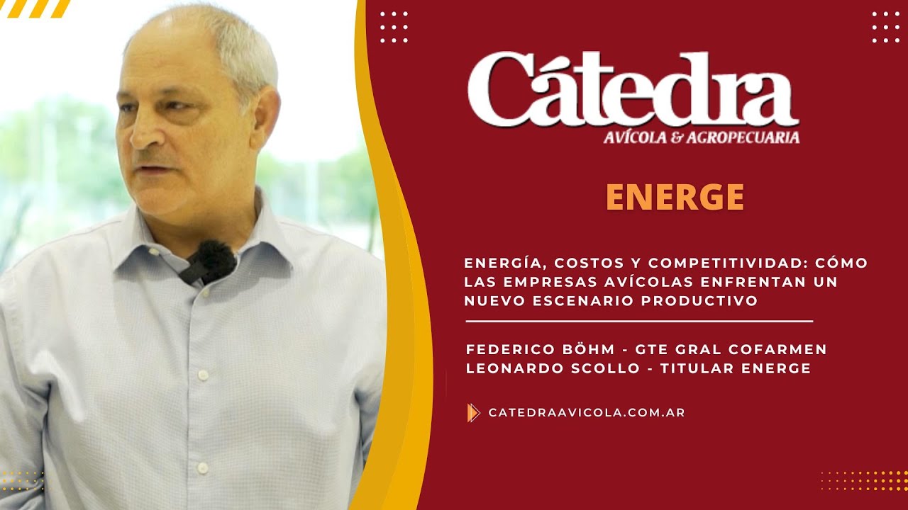 Energía, costos y competitividad: cómo las empresas avícolas enfrentan un nuevo escenario productivo