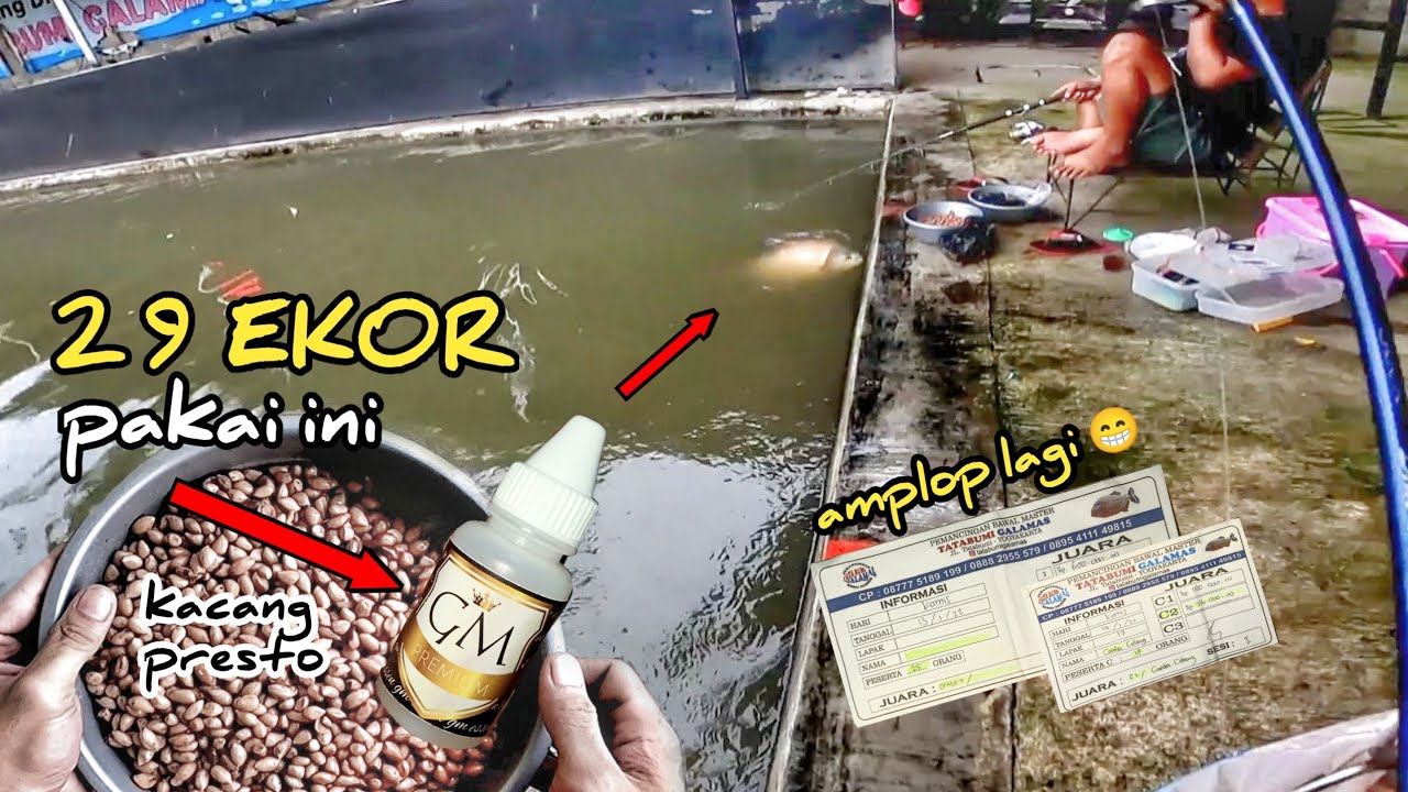 LIHAT! AWALNYA UMPAN INI DI REMEHIN, AKHIRNYA DAPET 2 AMPLOP
