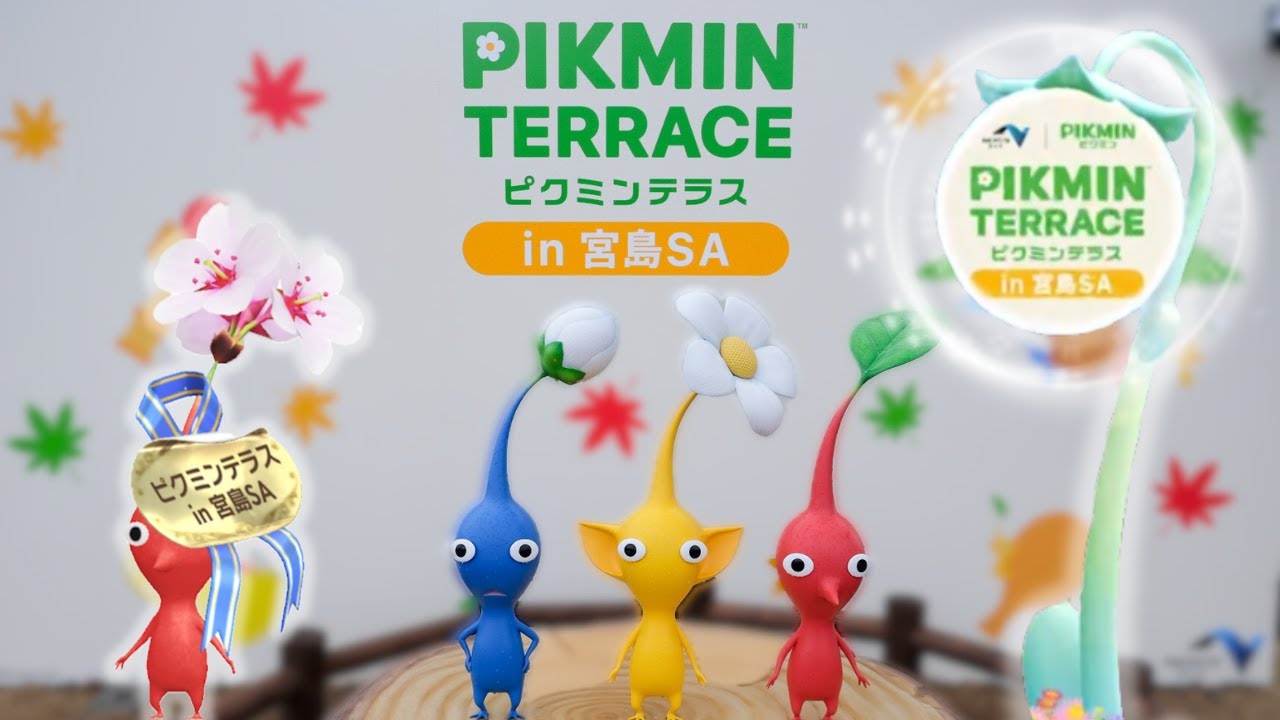 A Tour of the Pikmin Terrace in Miyajima SA! (Hiroshima)【Pikmin Bloom】