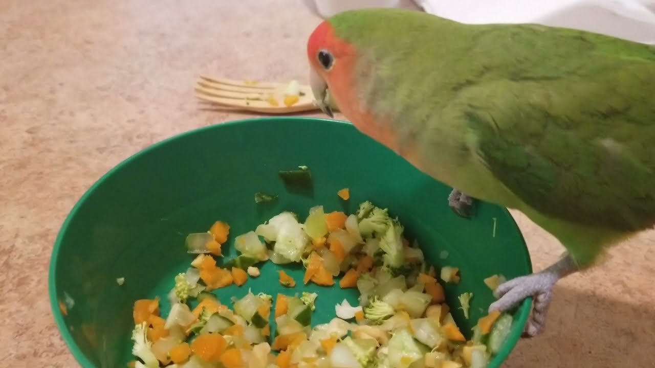 Collation maison et nutritive pour mon ins&eacute;parable!