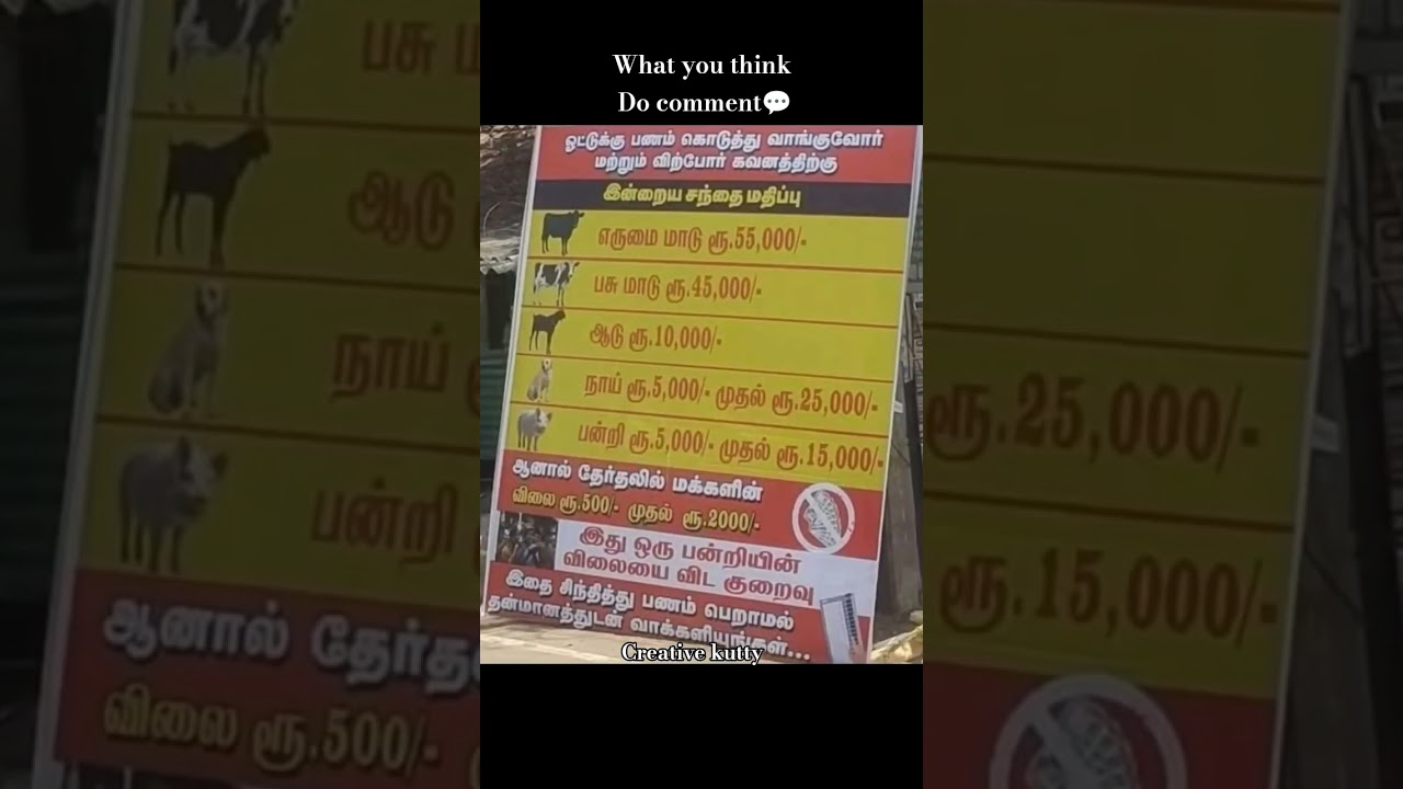 Tamil Election Meme 2026 🤣🔥 | Vote Panravanum Confuse Aaguvan 😂 | Ultimate Political Comedy Shorts