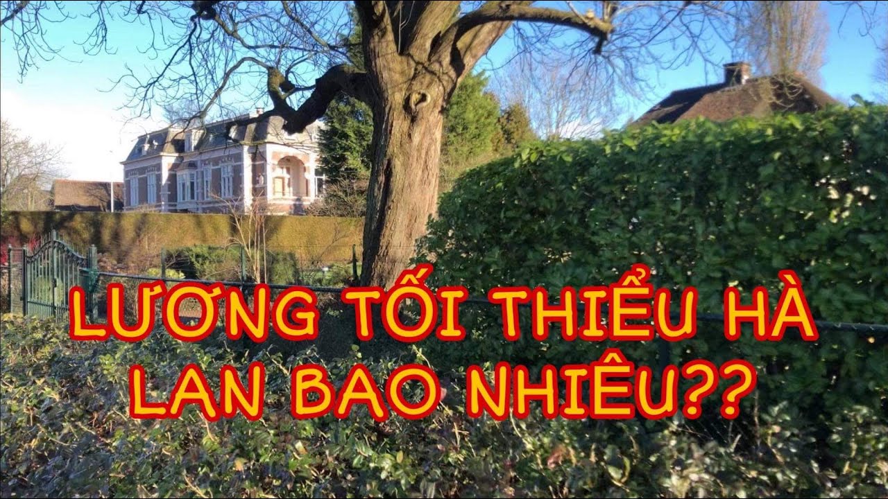 LƯƠNG TỐI THIỂU Ở HÀ LAN BAO NHIÊU? Cuộc sống hà lan vợ việt chồng Tây đi dạo quanh xóm nhỏ