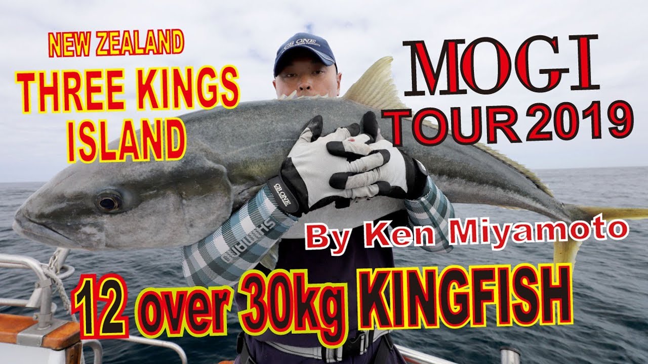 MOGI Tour 2019 in Three Kings Island NZ
