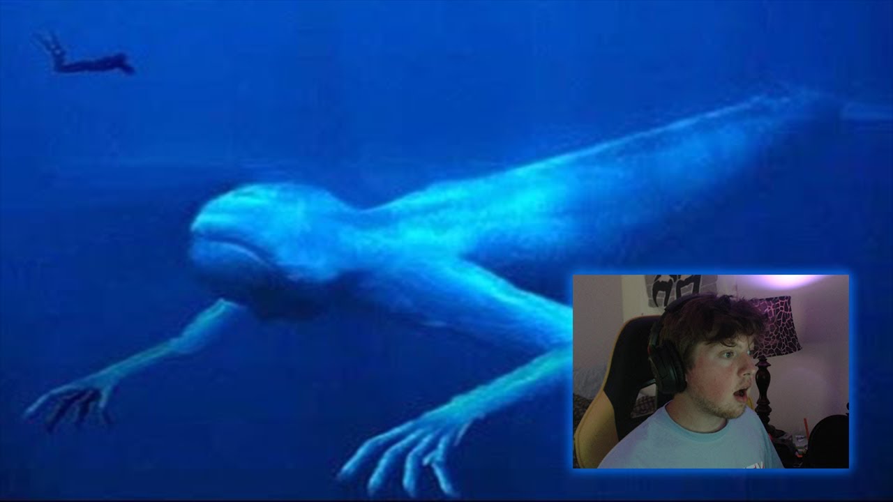 Reacting To Thalassophobia...