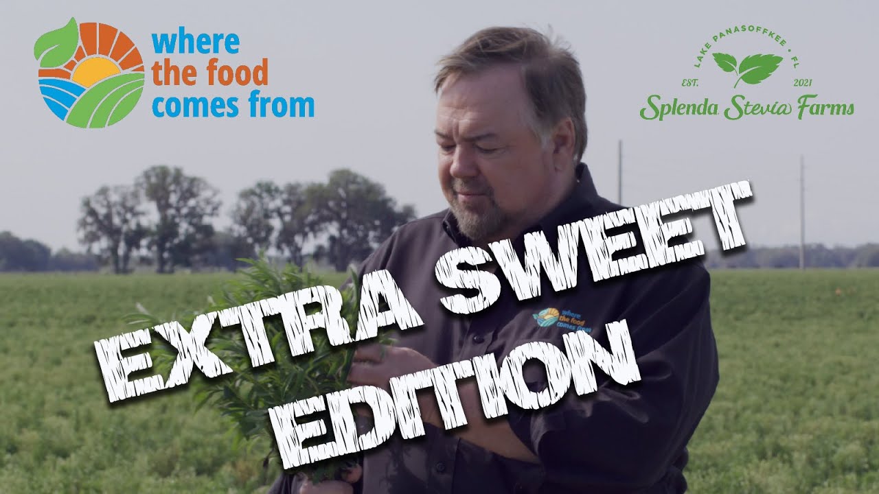 Splenda Stevia Farms: A New American Industry - 