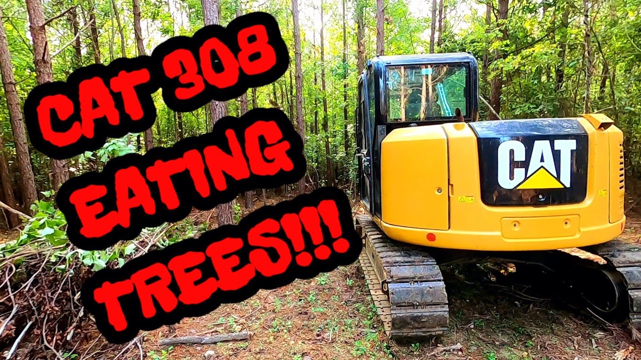 CAT 308 YANKING TREES OUT OF THE GROUND. SAFETY GLASSES NEEDED...