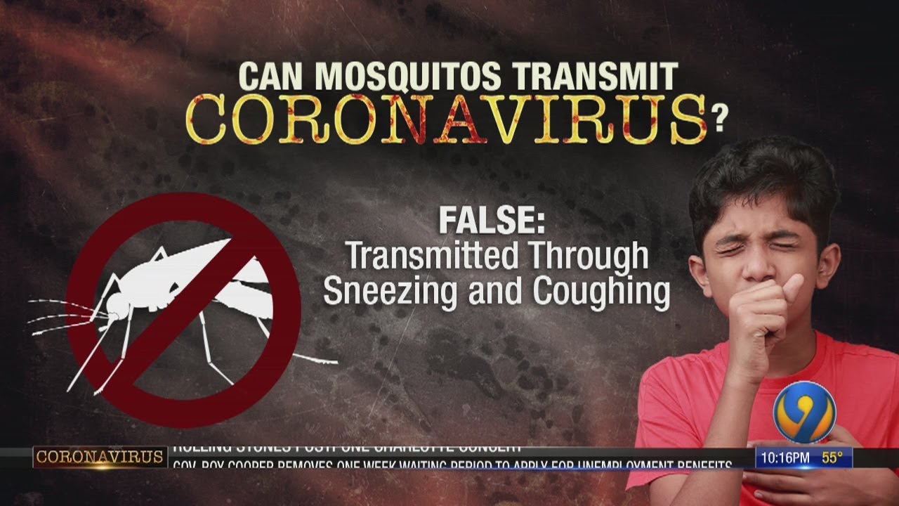 Fact or Fiction: Q&A on how coronavirus spreads with meteorologist Tony Sadiku