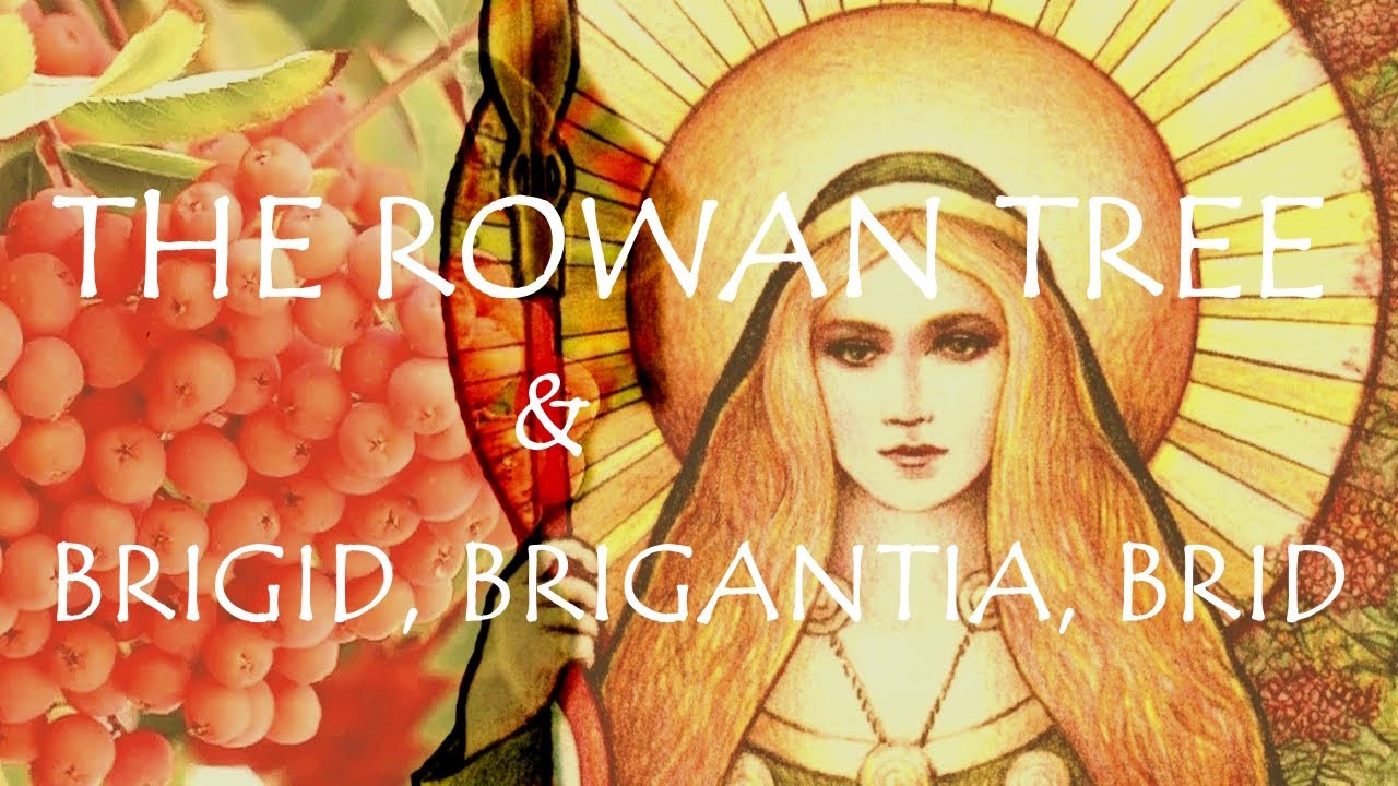 Around the Grove ~ Rowan ~ 2024 ~ Brigid, Brigantia, Brid