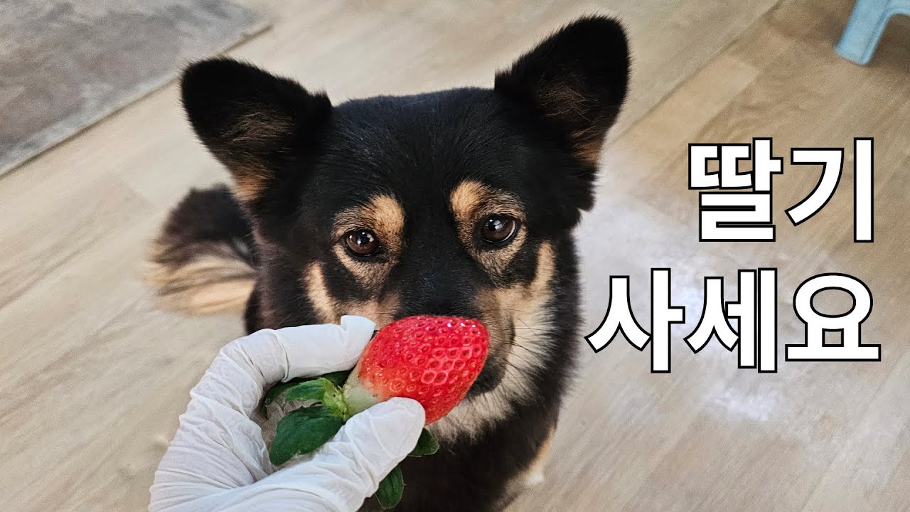 이제 내 세상이야~!