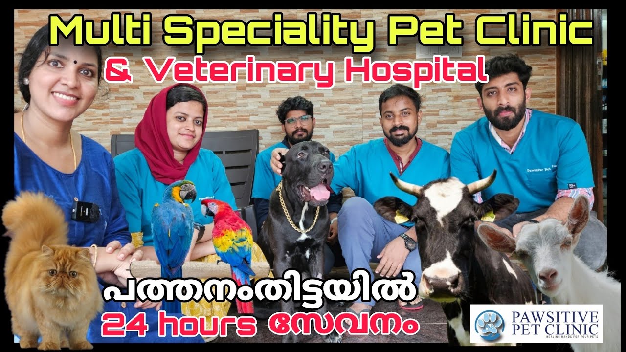 Multi speciality Pet clinic &  Veterinary Hospital ഇപ്പോൾ പത്തനംതിട്ടയിൽ| Pawsitive Pet clinic PTA |