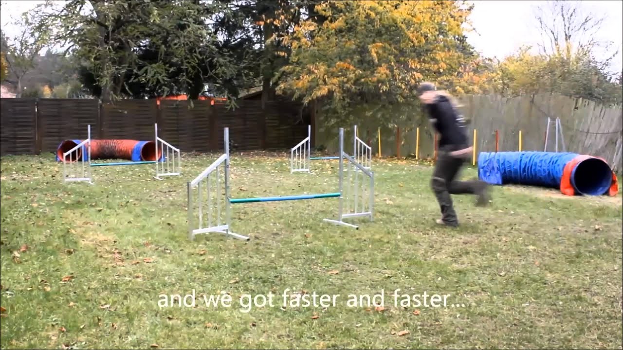 Bearded Collie Gitdoon Slàinidh - Silvia Trkman's Agility Foundation Class 2013