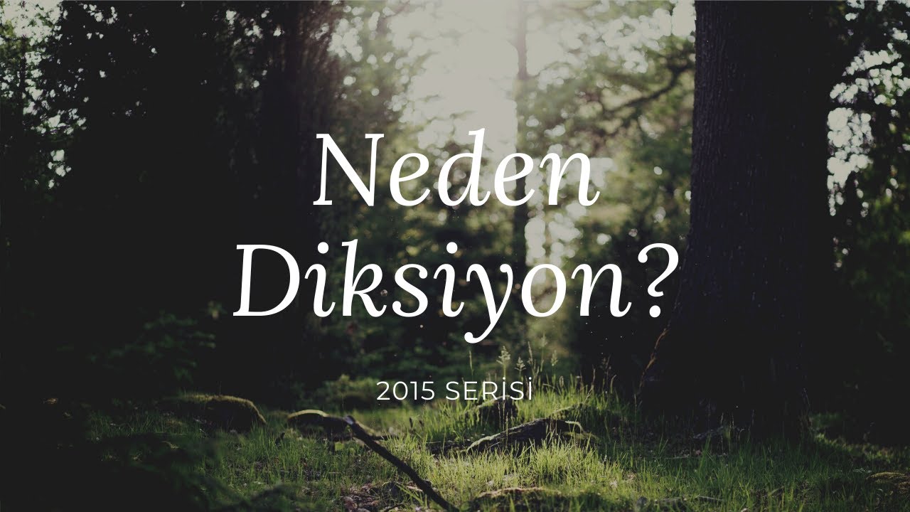 Neden Diksiyon? (2015 Serisi)
