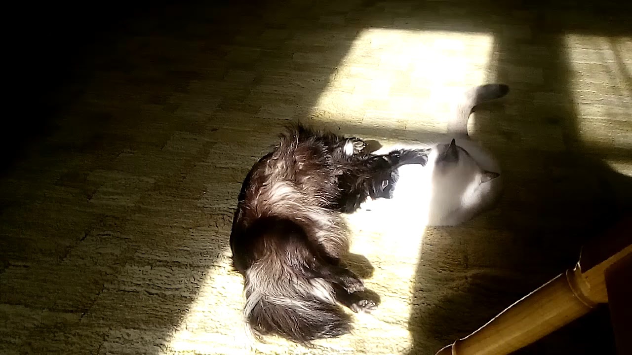 VID 20171010 150447