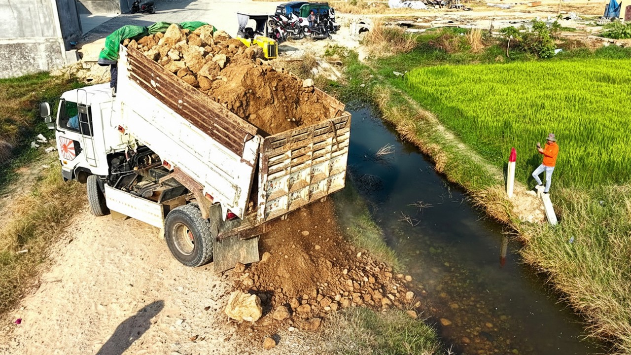 Starting a New Project! D31P Bulldozer & 5T Trucks Clear Flooded Pond Landfill
