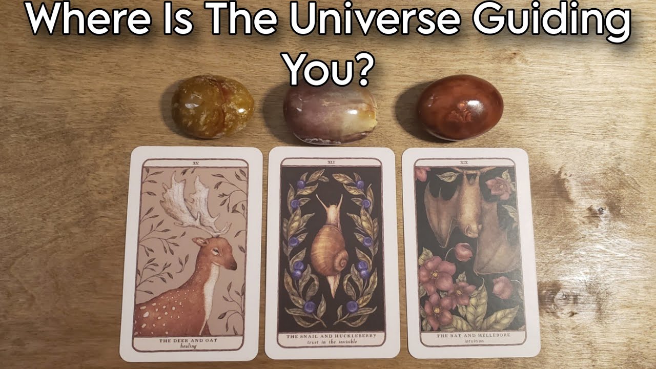 🌟🕯Where Is The Universe Guiding You? 🌟🕯Pick A Card Reading