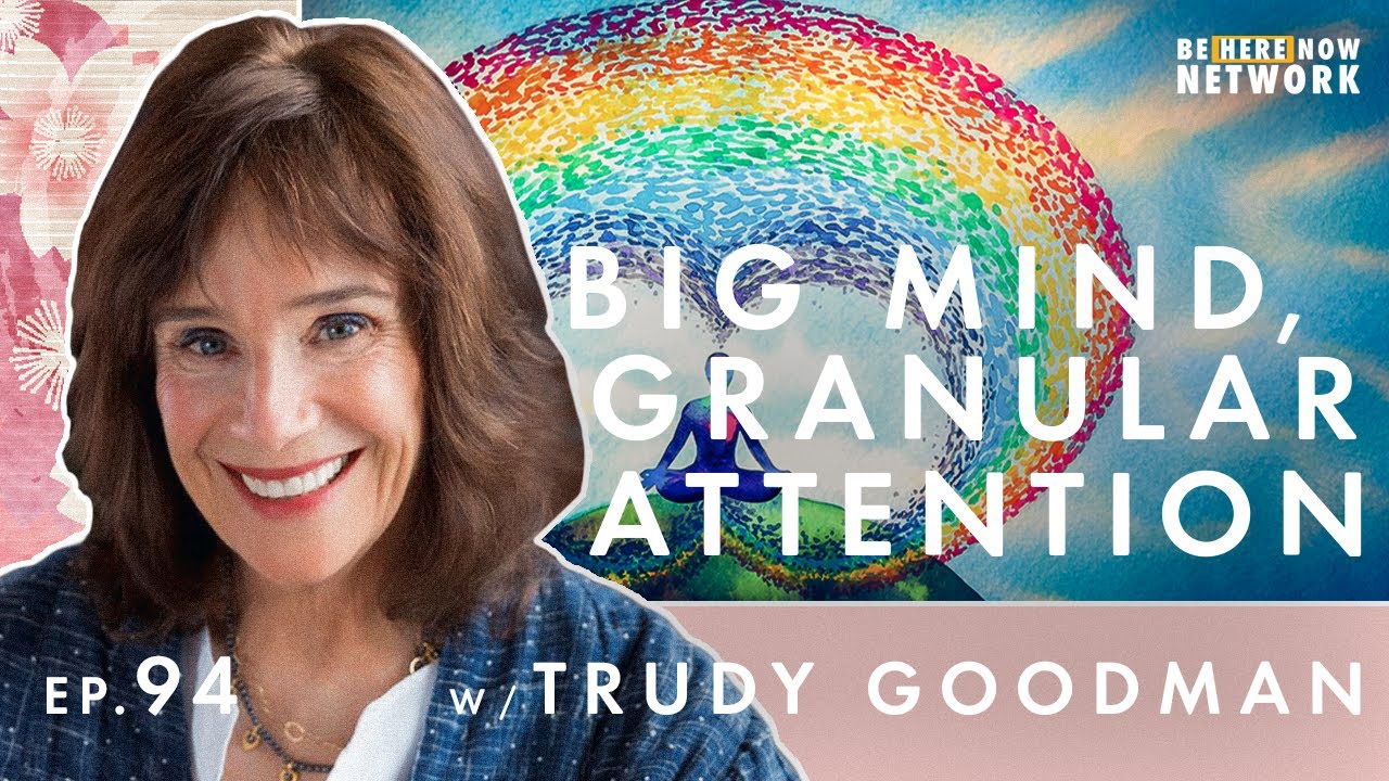 Big Mind, Granular Attention w/ Trudy Goodman